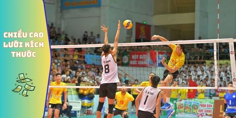 Kích Thước Sân Bóng Chuyền - Quy Chuẩn Thi Đấu Quốc Tế 2026 4 Chiều cao lưới chuẩn kích thước