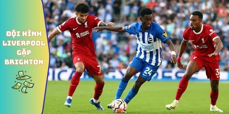Đội Hình Liverpool Gặp Brighton & Hove Albion Tỏa Sáng 2 Đội hình Liverpool Gặp Brighton & Hove Albion chi tiết